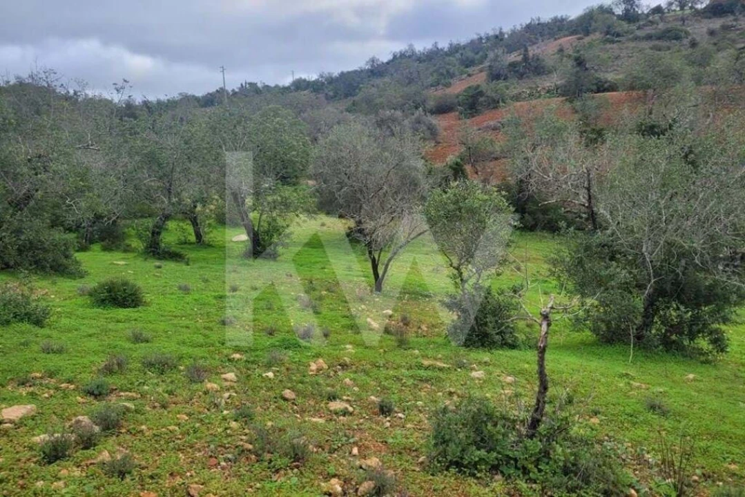 Terreno para Venda em Paderne Foto 9
