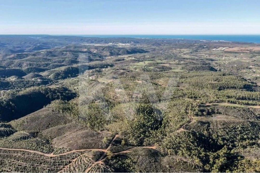 Terreno para Venda em Aljezur Foto 5
