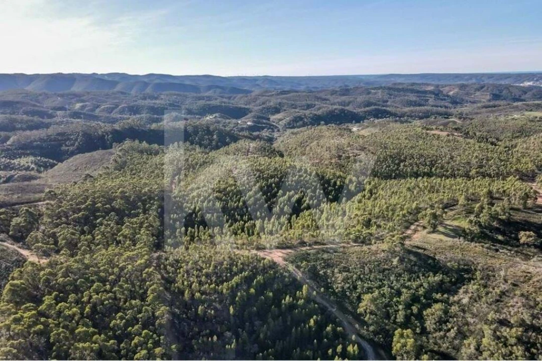 Terreno para Venda em Aljezur Foto 14