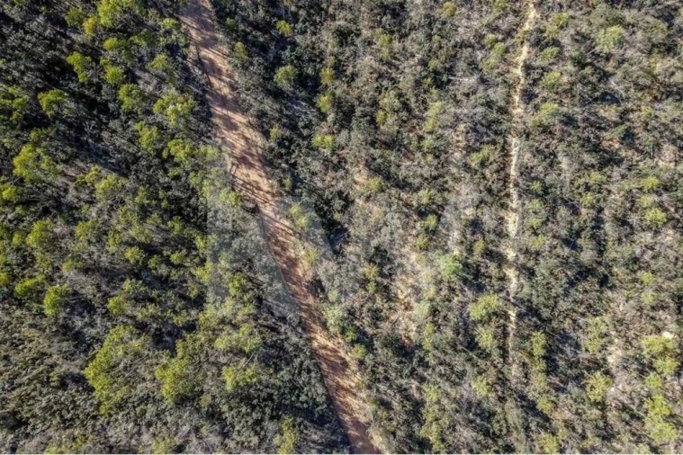 Terreno para Venda em Aljezur Foto 13