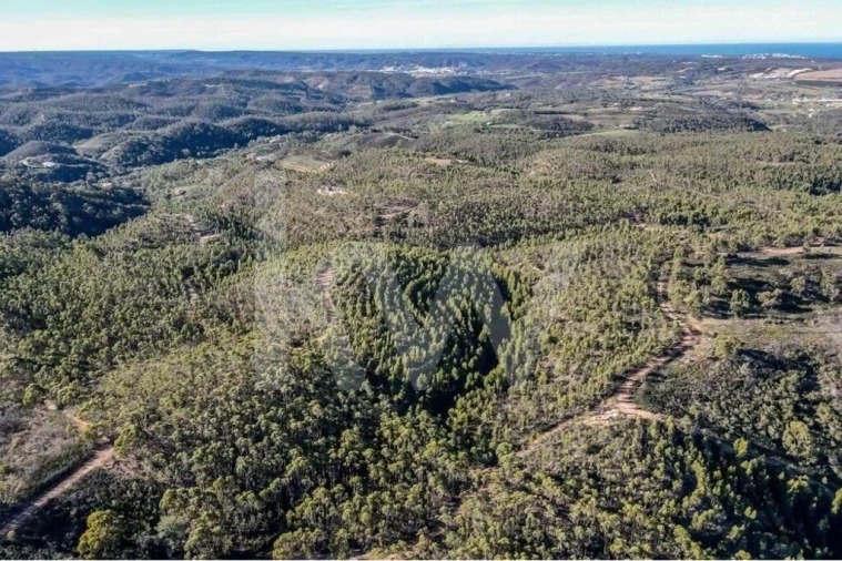 Terreno para Venda em Aljezur Foto 15