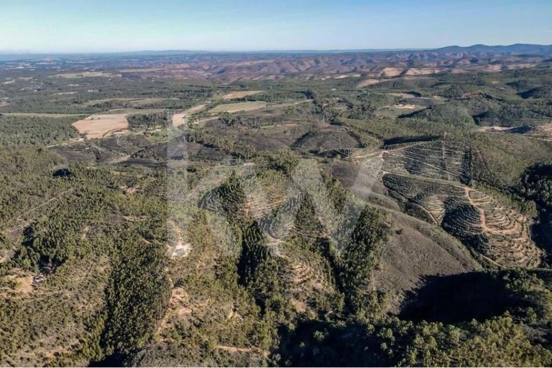 Terreno para Venda em Aljezur Foto 10