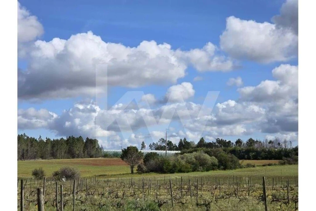 Terreno para Venda em Odeceixe Foto 11