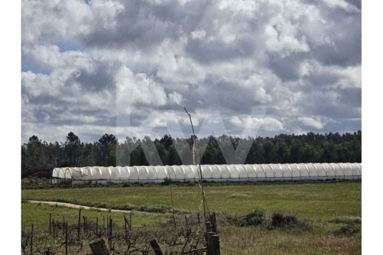 Terreno para Venda em Odeceixe Foto 13