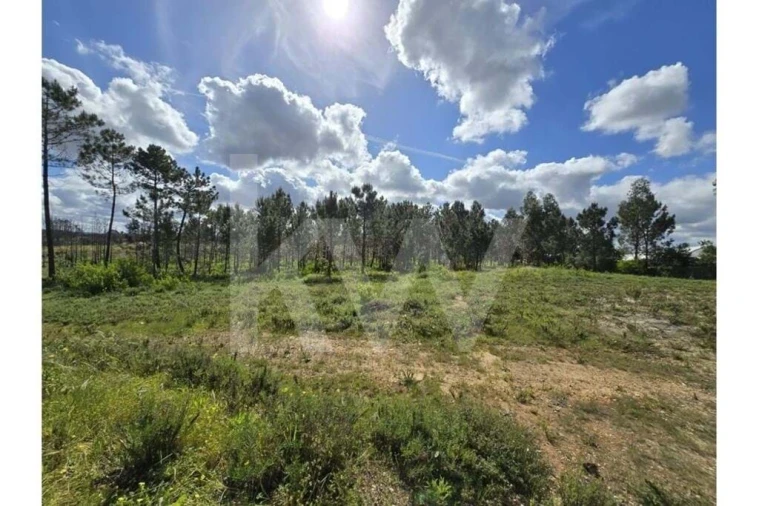 Terreno para Venda em Odeceixe Foto 30