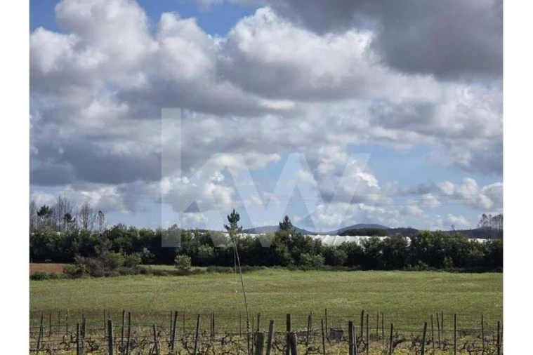 Terreno para Venda em Odeceixe Foto 15