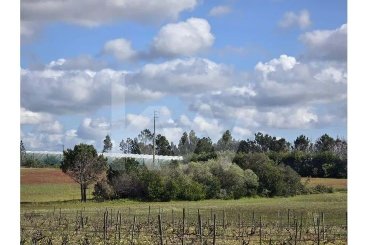 Terreno para Venda em Odeceixe Foto 14