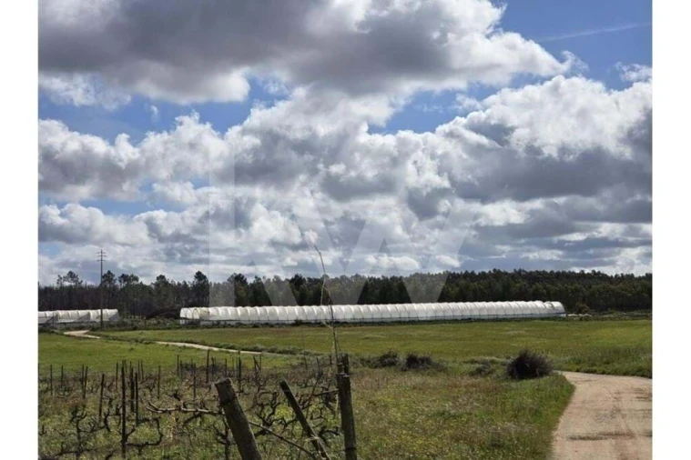 Terreno para Venda em Odeceixe Foto 9