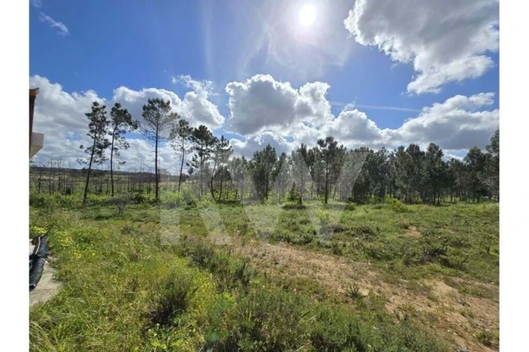Terreno para Venda em Odeceixe Foto 28