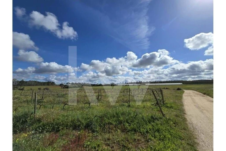 Terreno para Venda em Odeceixe Foto 12