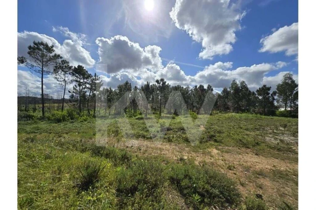 Terreno para Venda em Odeceixe Foto 29
