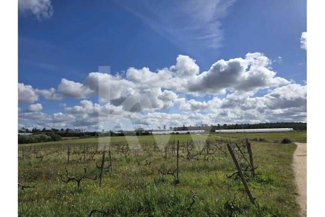 Terreno para Venda em Odeceixe Foto 10