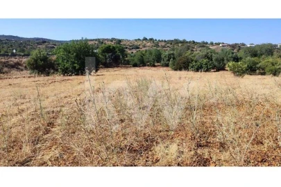 Terreno para Venda em Santa Barbara de Nexe