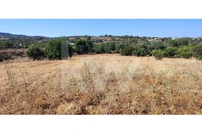 Terreno para Venda em Santa Barbara de Nexe