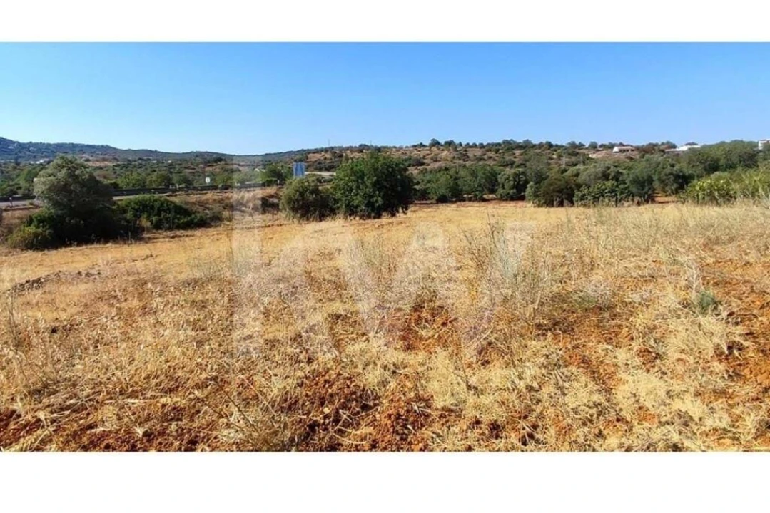 Terreno para Venda em Santa Barbara de Nexe Foto 5
