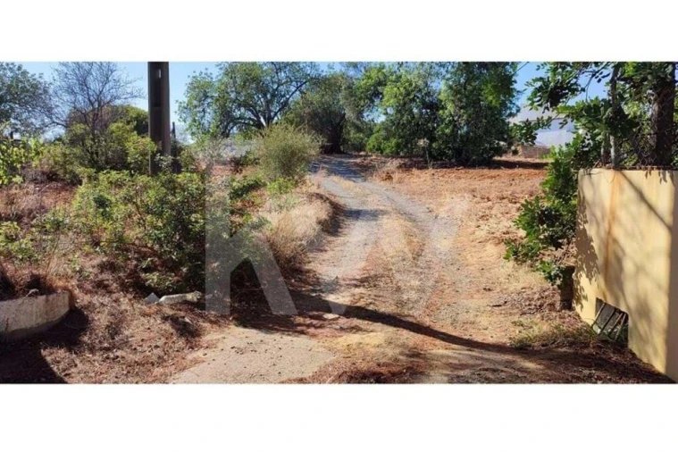 Terreno para Venda em Santa Barbara de Nexe Foto 13