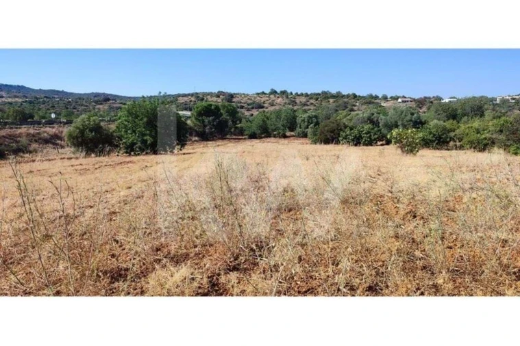 Terreno para Venda em Santa Barbara de Nexe Foto 4