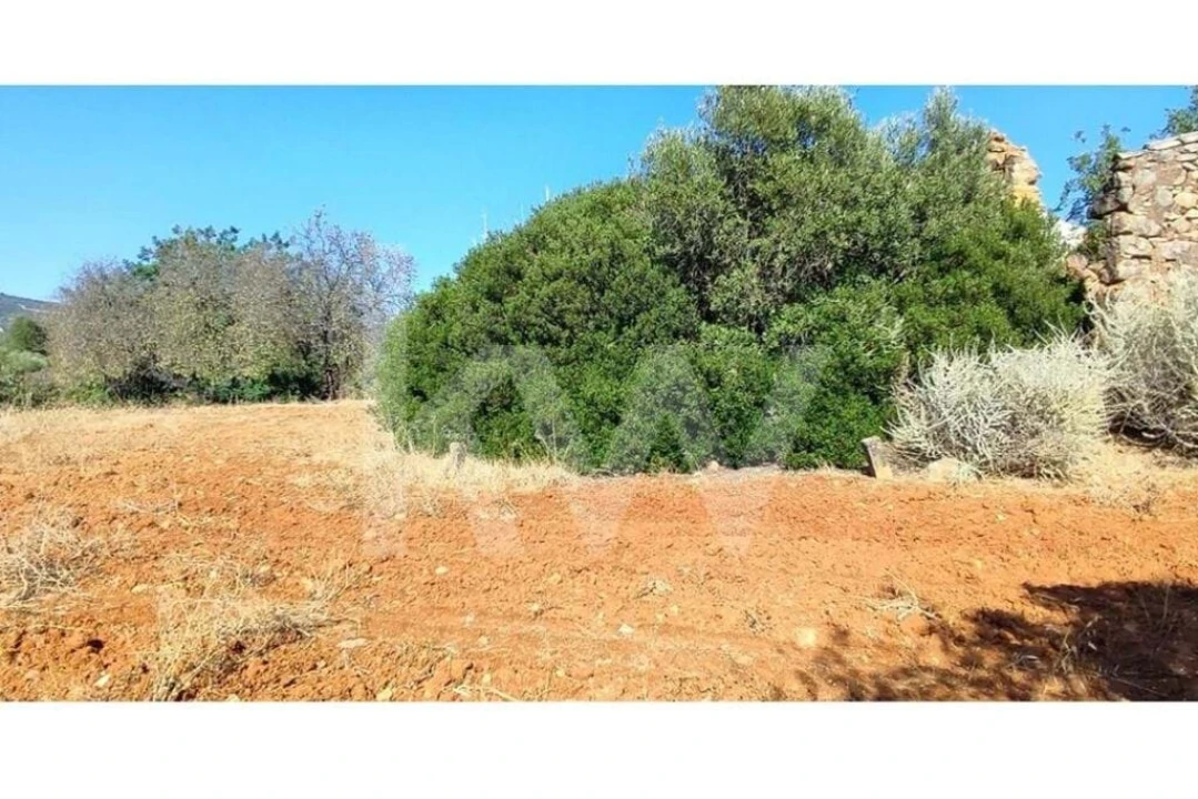 Terreno para Venda em Santa Barbara de Nexe Foto 8