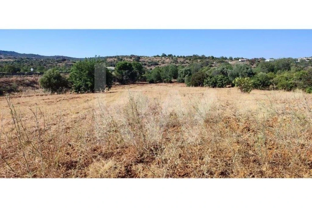 Terreno para Venda em Santa Barbara de Nexe Foto 4