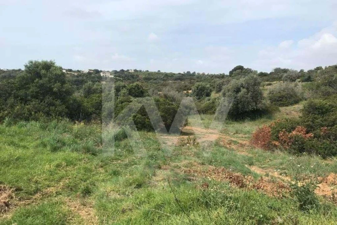 Terreno para Venda em Porches Foto 4