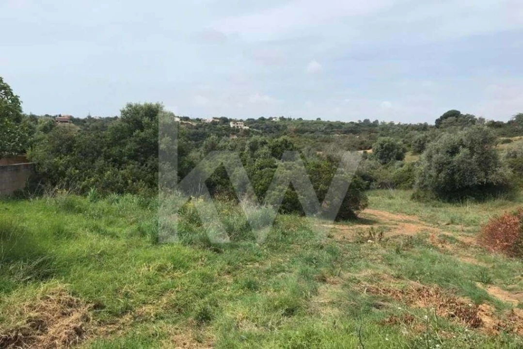 Terreno para Venda em Porches Foto 2