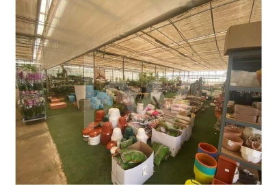 Terreno para Venda em Lagoa e Carvoeiro