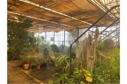 Terreno para Venda em Lagoa e Carvoeiro