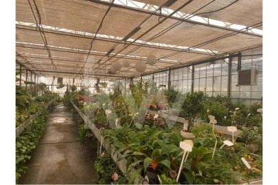 Terreno para Venda em Lagoa e Carvoeiro