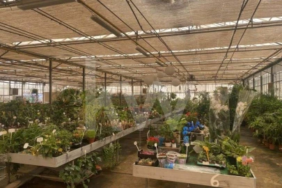 Terreno para Venda em Lagoa e Carvoeiro