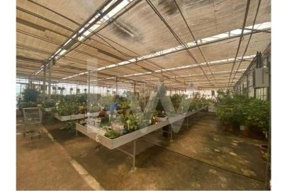 Terreno para Venda em Lagoa e Carvoeiro