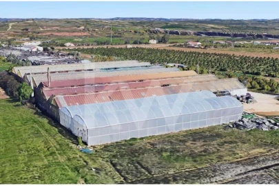 Terreno para Venda em Lagoa e Carvoeiro