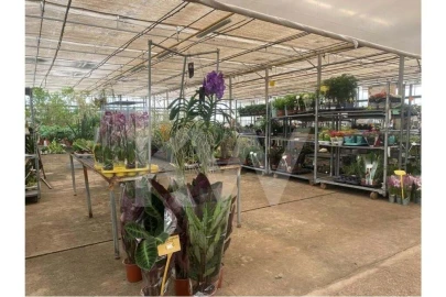 Terreno para Venda em Lagoa e Carvoeiro