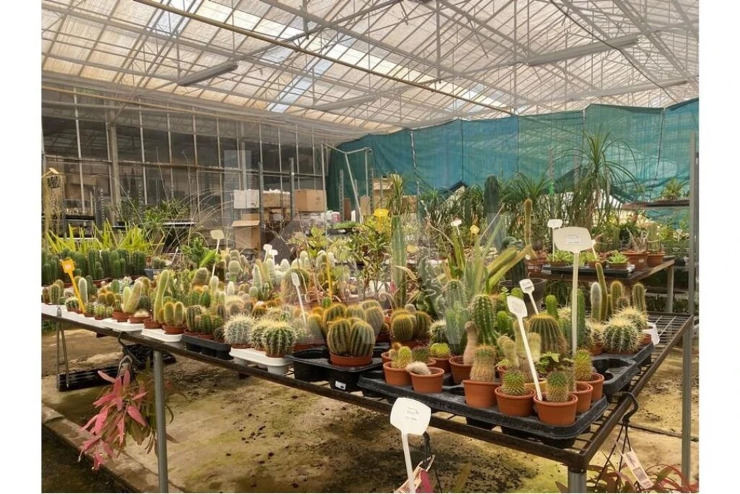 Terreno para Venda em Lagoa e Carvoeiro Foto 39
