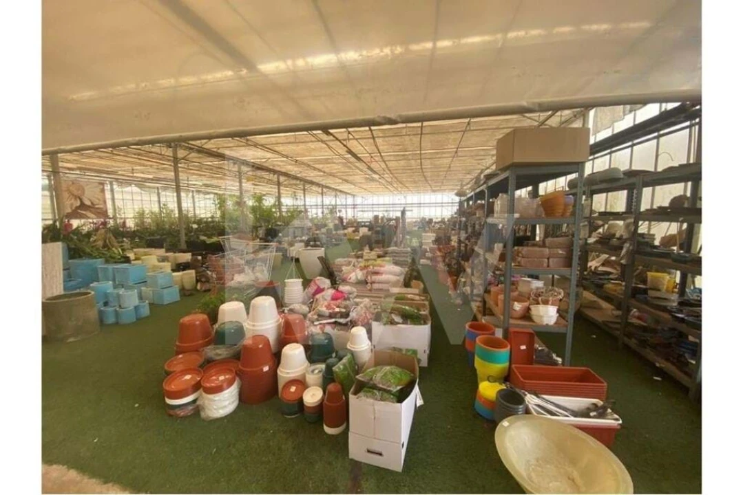 Terreno para Venda em Lagoa e Carvoeiro Foto 11