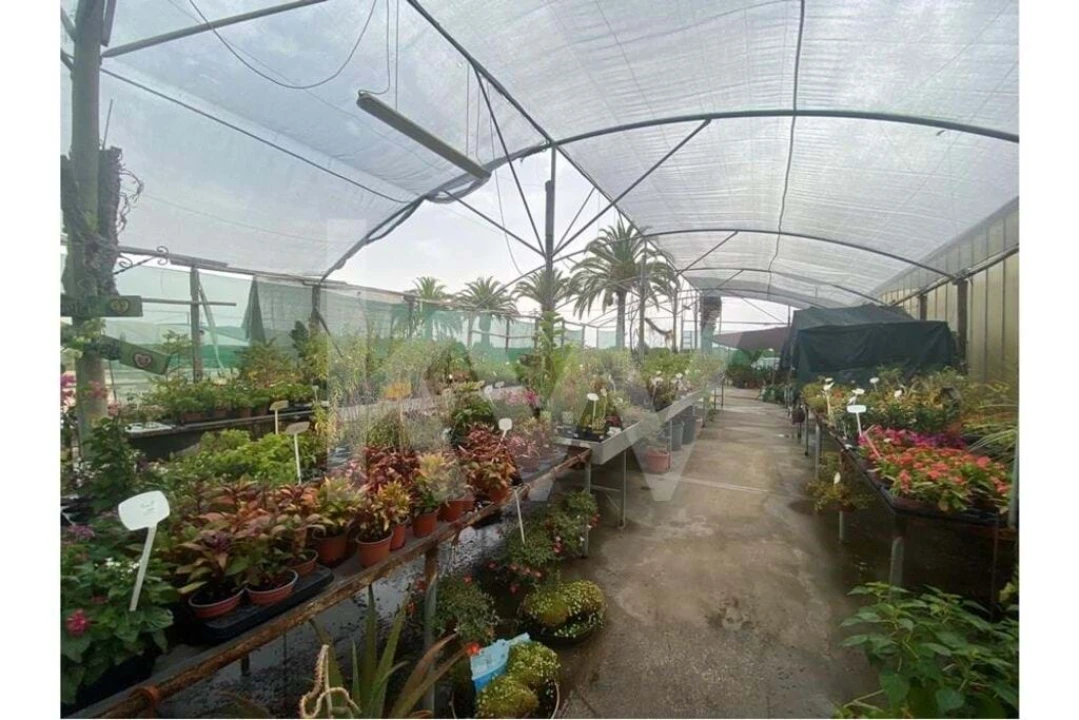 Terreno para Venda em Lagoa e Carvoeiro Foto 16