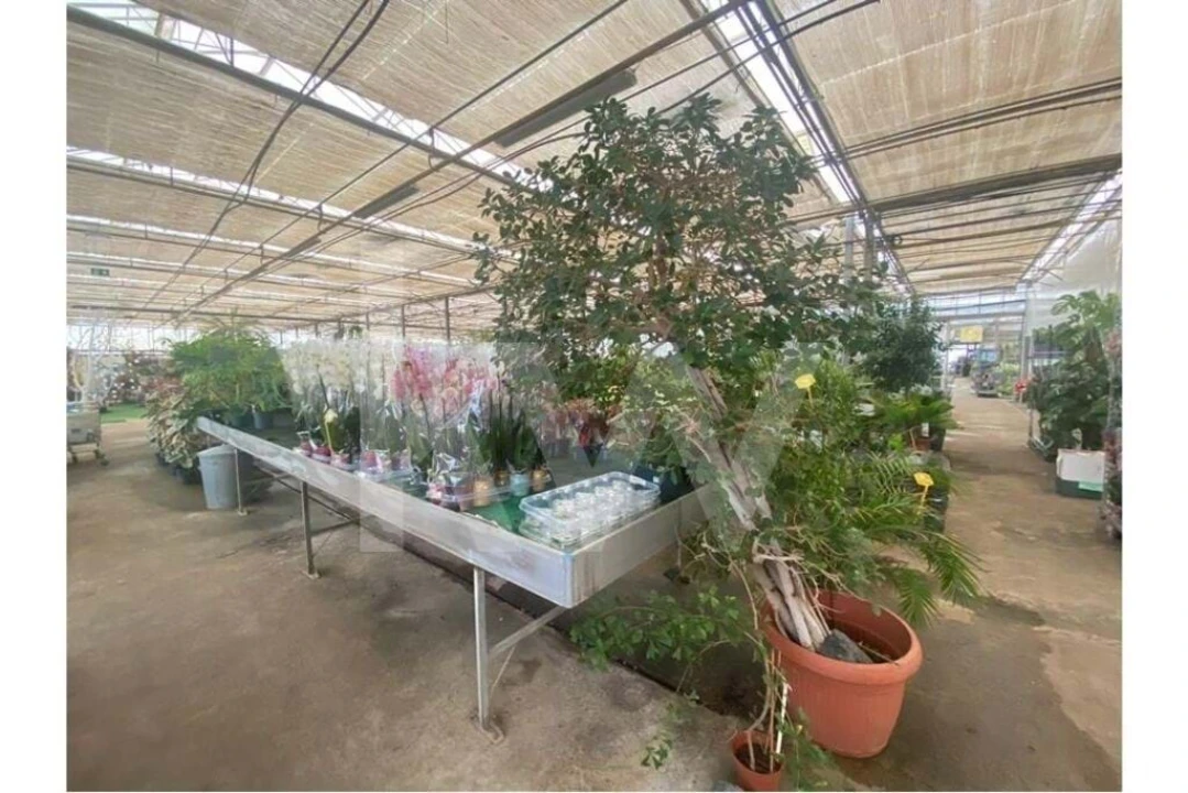 Terreno para Venda em Lagoa e Carvoeiro Foto 14