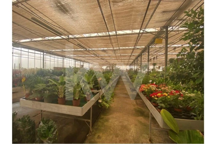 Terreno para Venda em Lagoa e Carvoeiro Foto 52