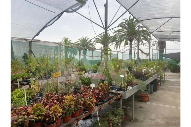 Terreno para Venda em Lagoa e Carvoeiro Foto 17