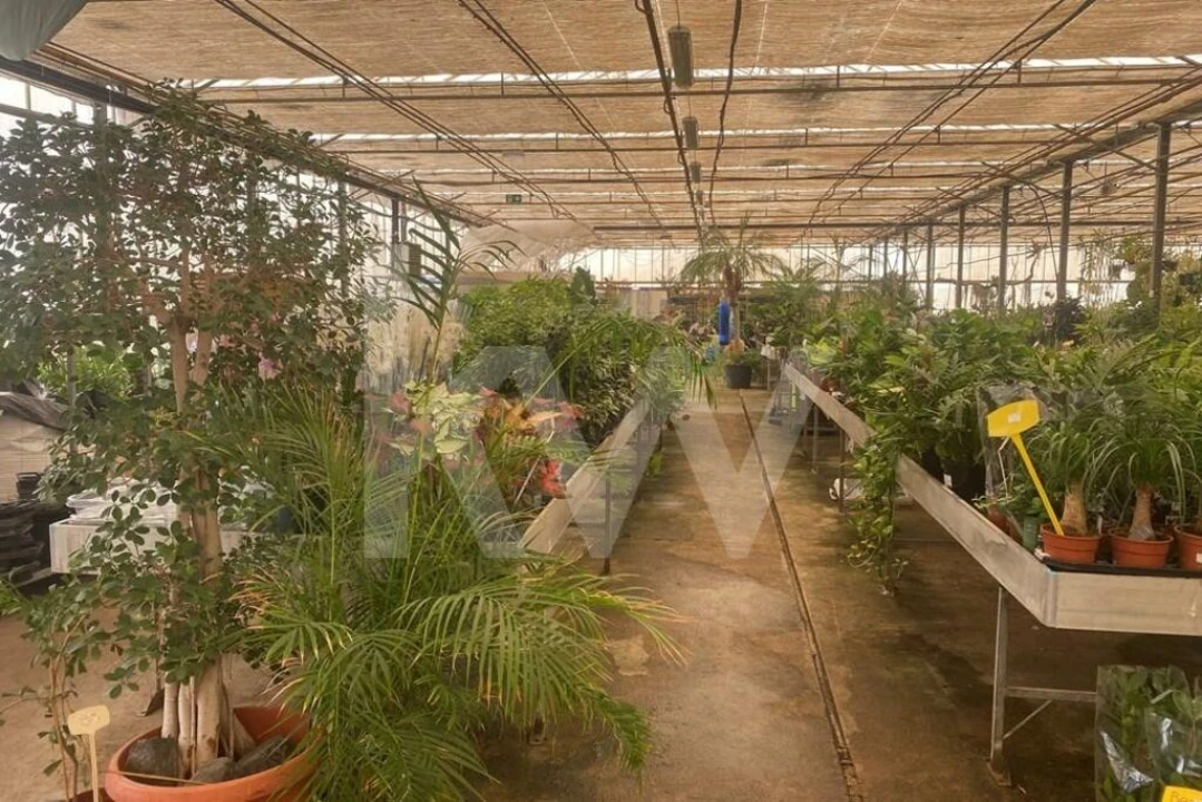 Terreno para Venda em Lagoa e Carvoeiro Foto 21