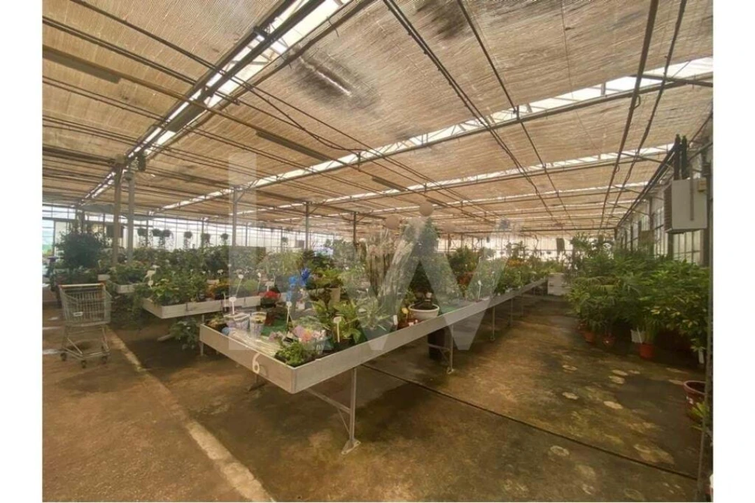Terreno para Venda em Lagoa e Carvoeiro Foto 45