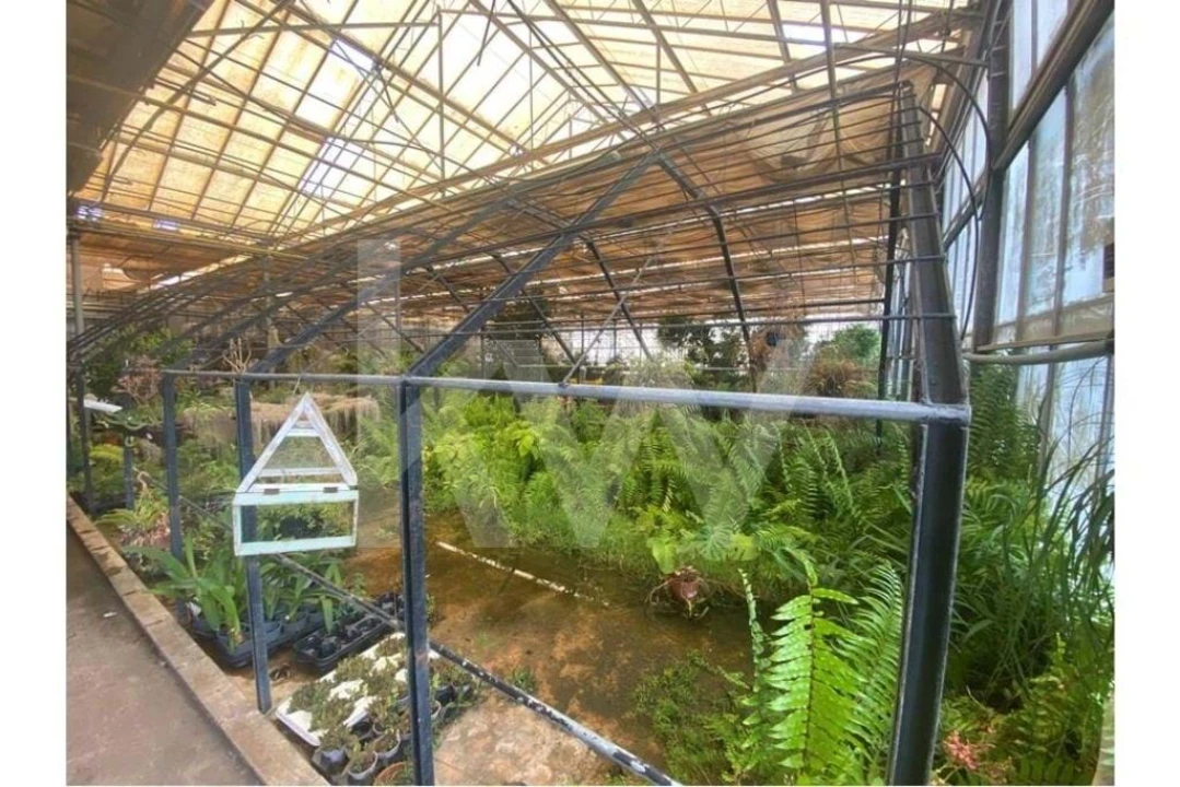 Terreno para Venda em Lagoa e Carvoeiro Foto 28