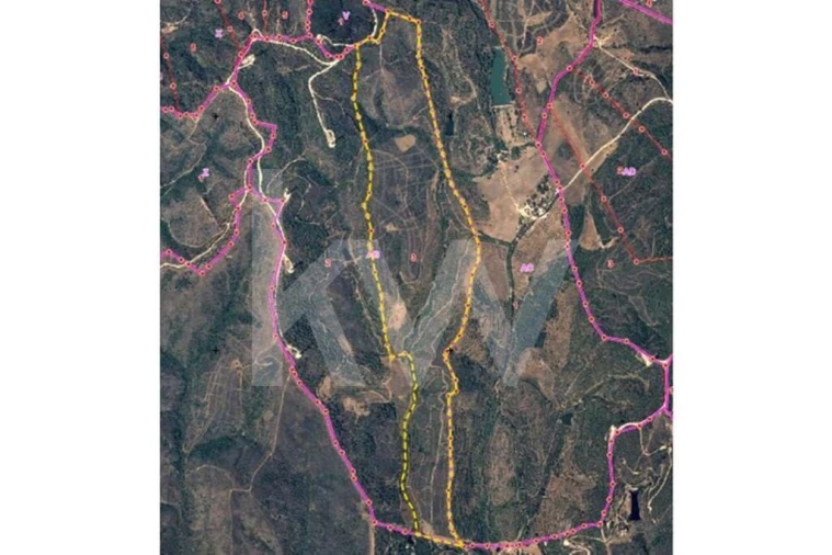 Terreno para Venda em Lagos (São Sebastião e Santa Maria) Foto 7