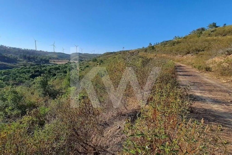 Terreno para Venda em Lagos (São Sebastião e Santa Maria) Foto 4
