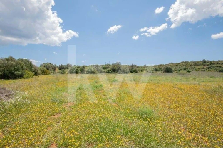 Terreno para Venda em Odiaxere Foto 6