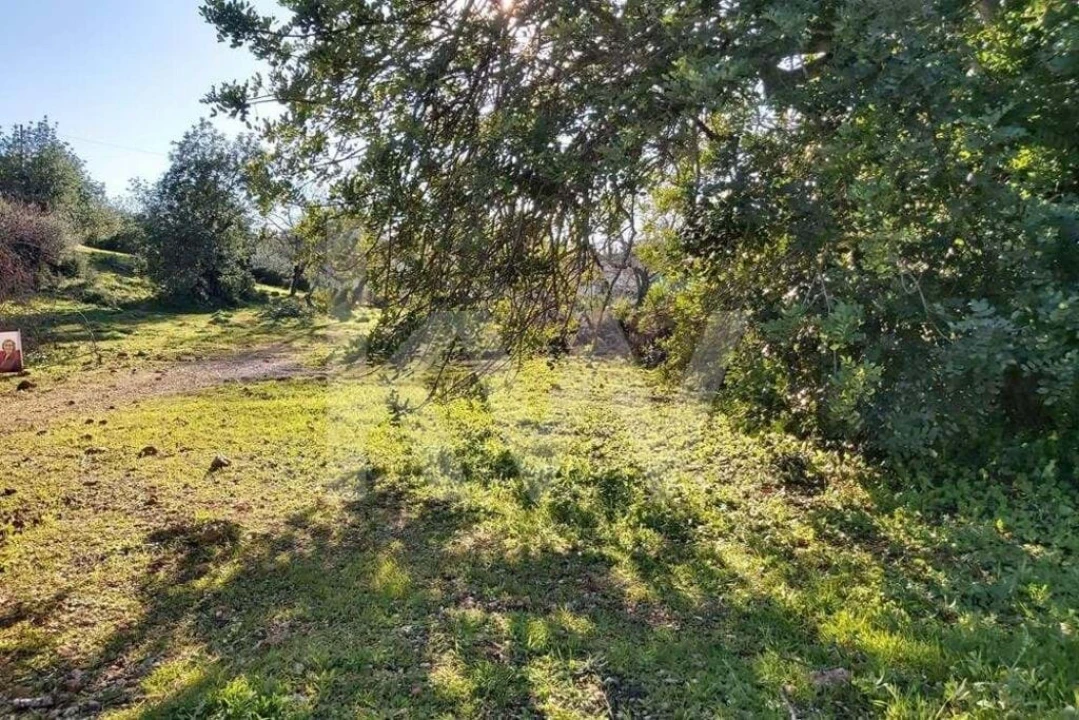 Terreno para Venda em Boliqueime Foto 19