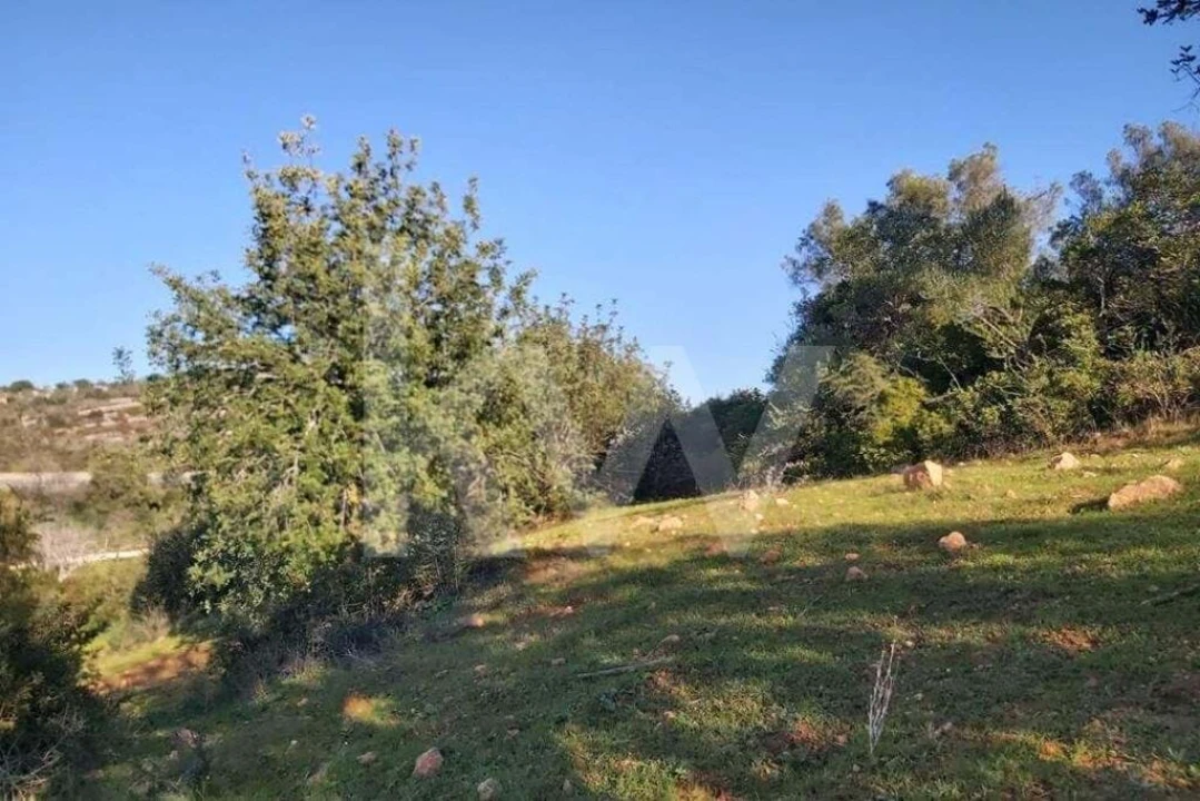 Terreno para Venda em Boliqueime Foto 10