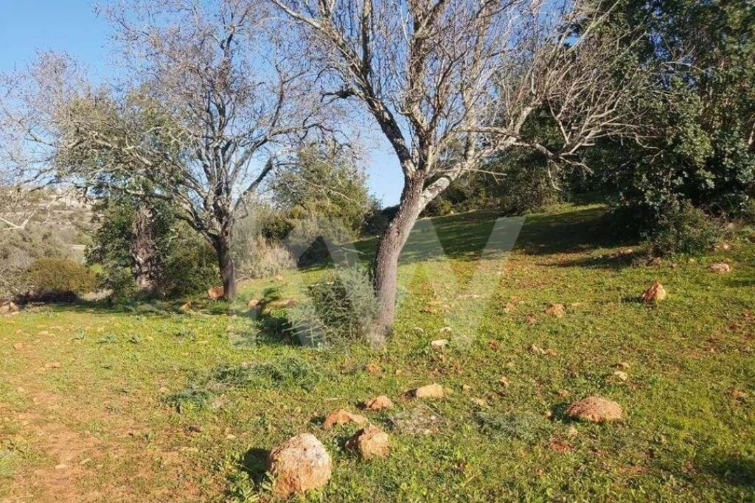 Terreno para Venda em Boliqueime Foto 6