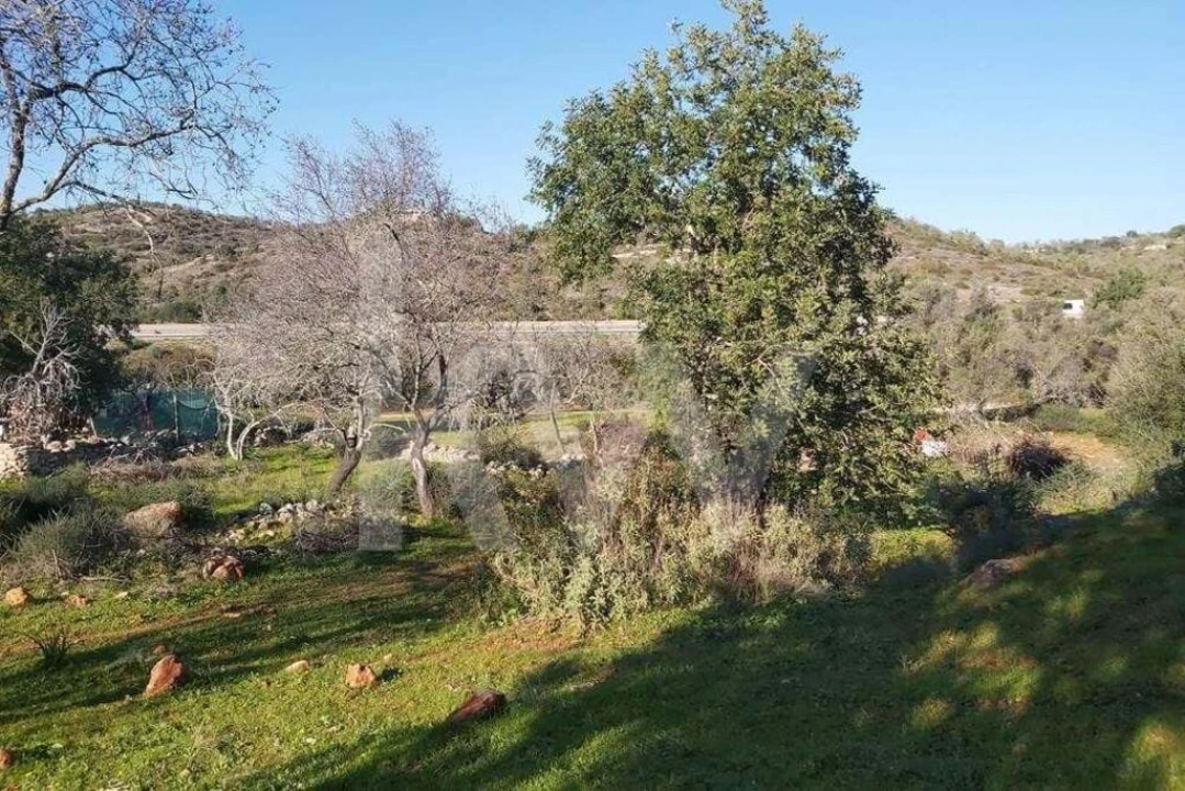 Terreno para Venda em Boliqueime Foto 8