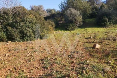 Terreno para Venda em Boliqueime