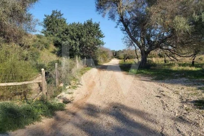 Terreno para Venda em Boliqueime